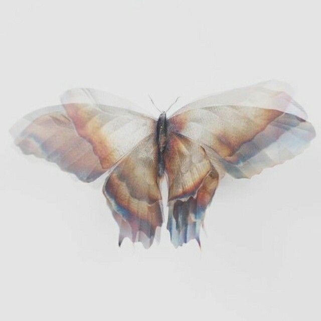 metamorphosis